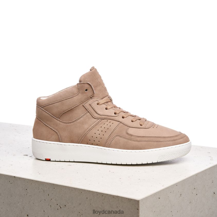 ALISTER LLOYD Men brown R084ZF385 Shoes