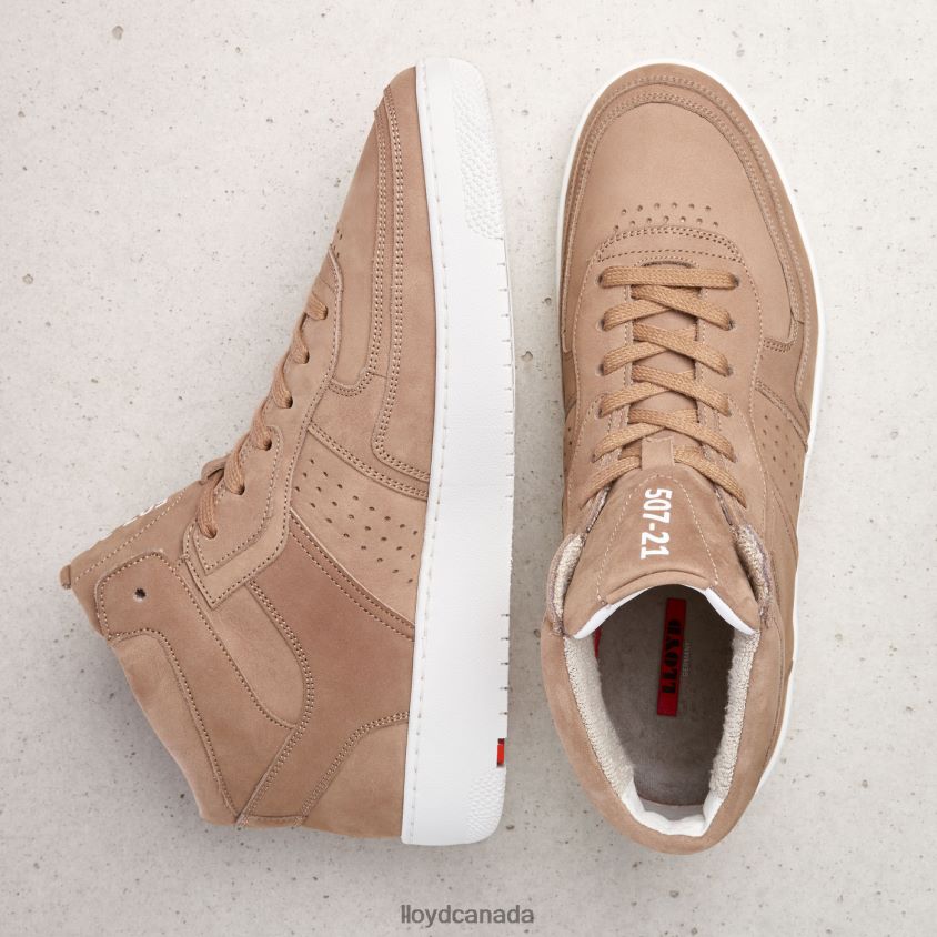 ALISTER LLOYD Men brown R084ZF385 Shoes