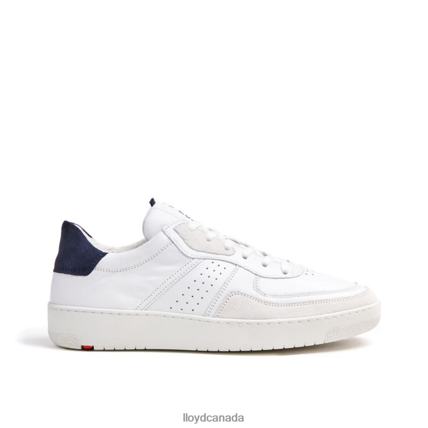 AREL LLOYD Men white R084ZF335 Shoes
