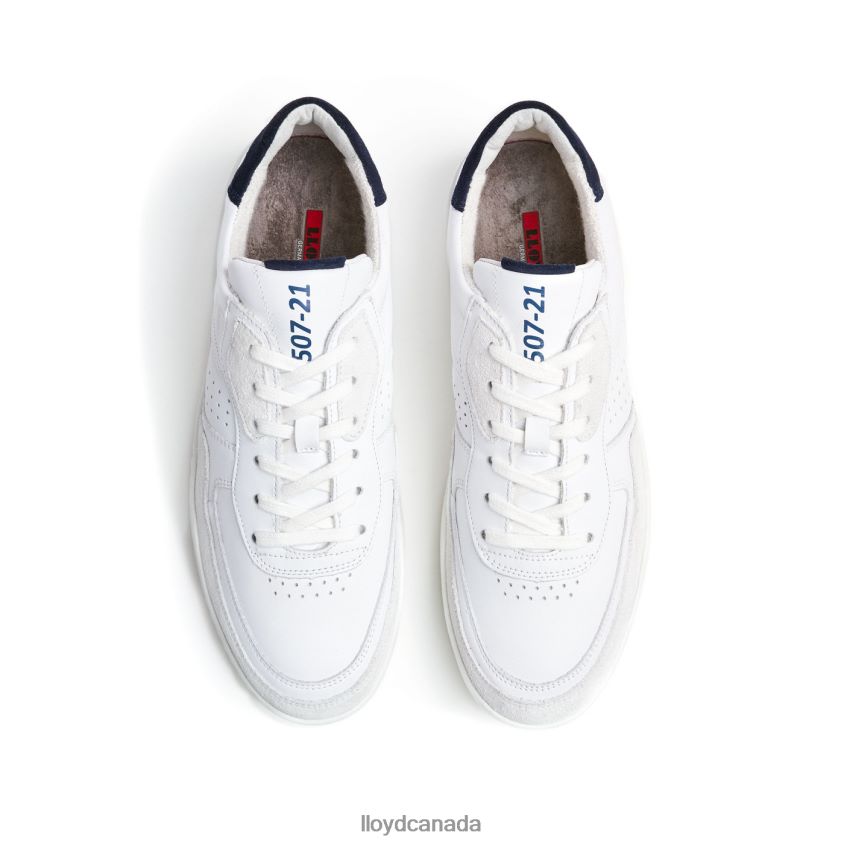 AREL LLOYD Men white R084ZF335 Shoes
