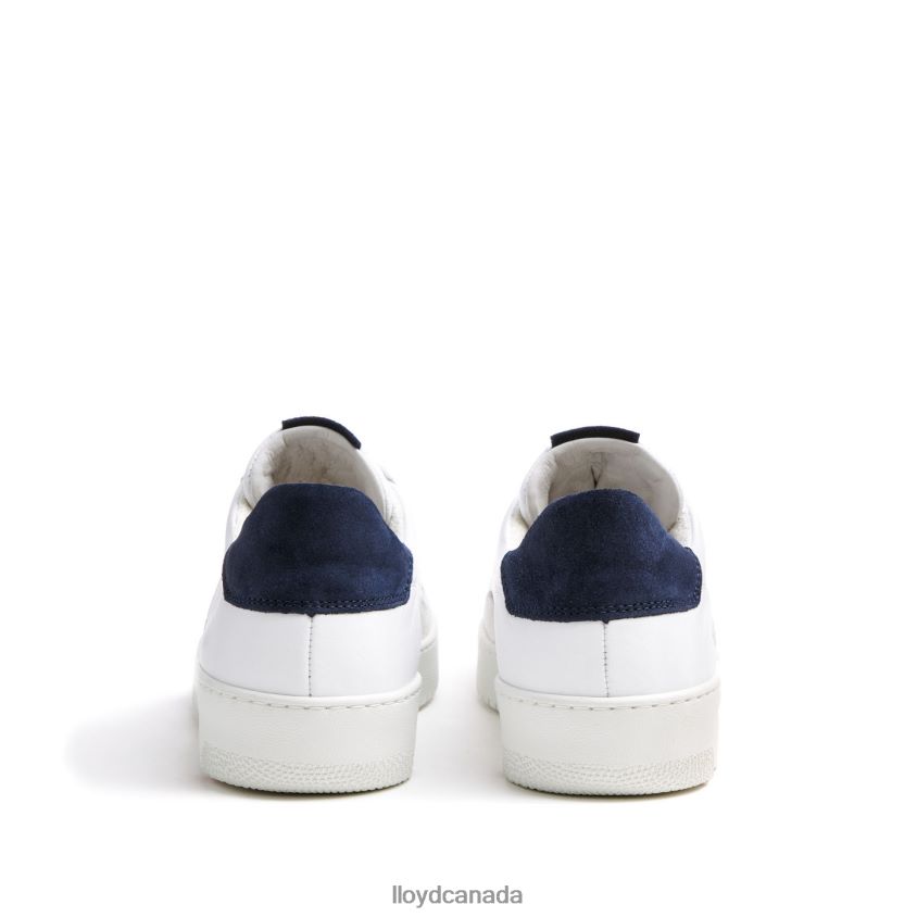 AREL LLOYD Men white R084ZF335 Shoes