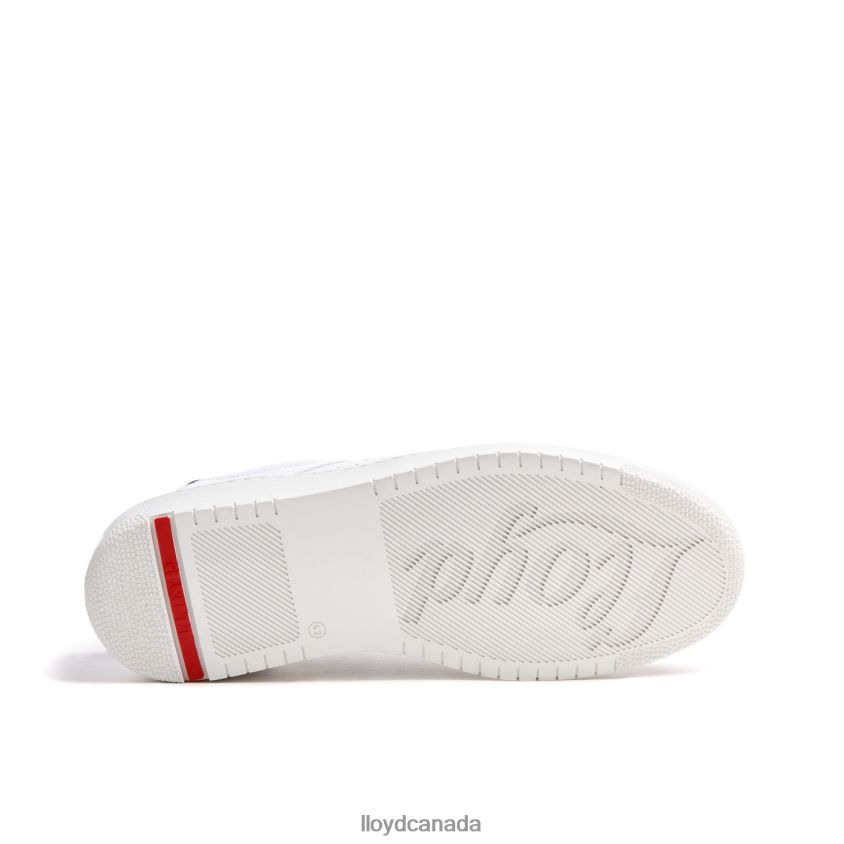 AREL LLOYD Men white R084ZF335 Shoes