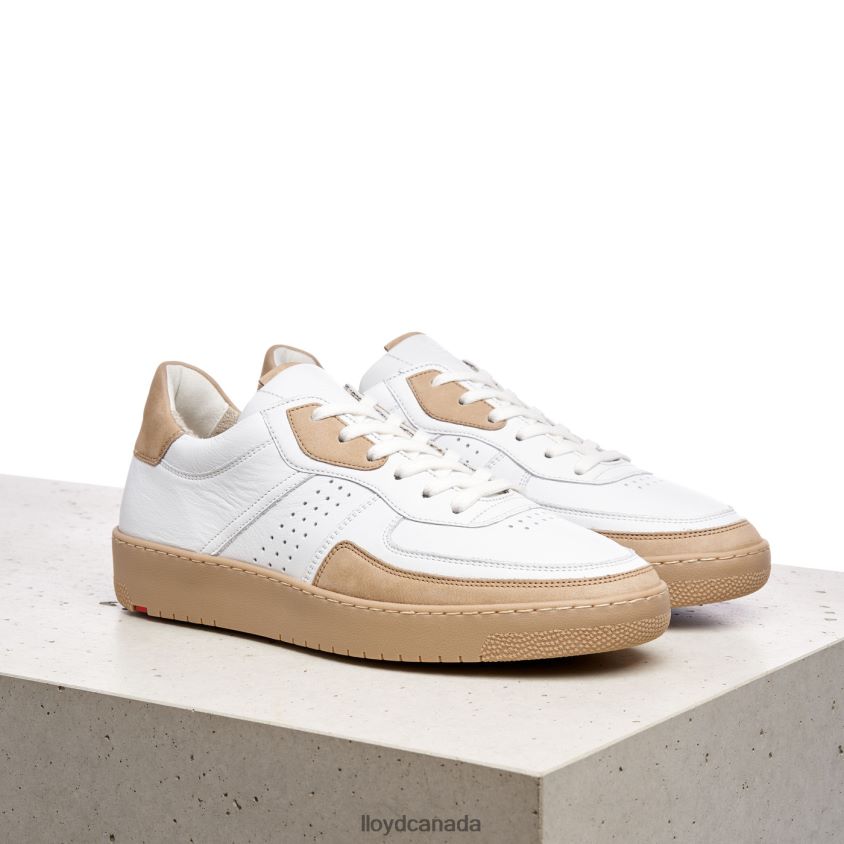 AREL LLOYD Men white R084ZF382 Shoes