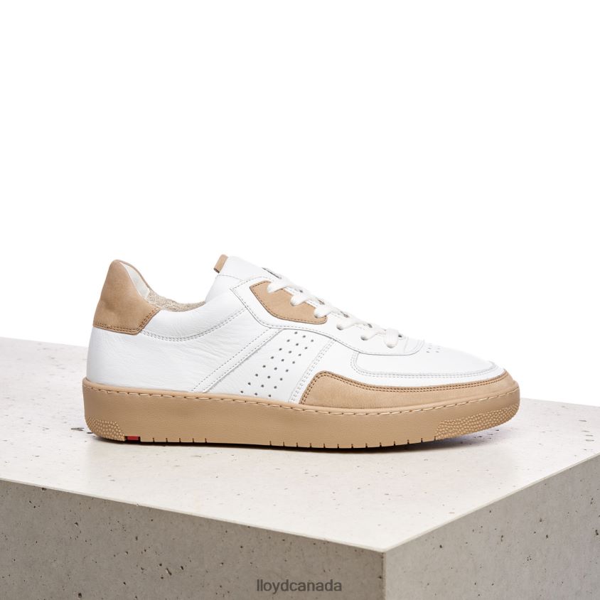 AREL LLOYD Men white R084ZF382 Shoes