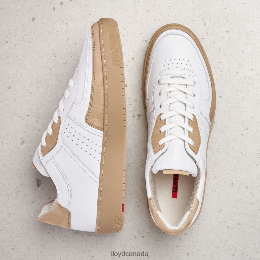 AREL LLOYD Men white R084ZF382 Shoes