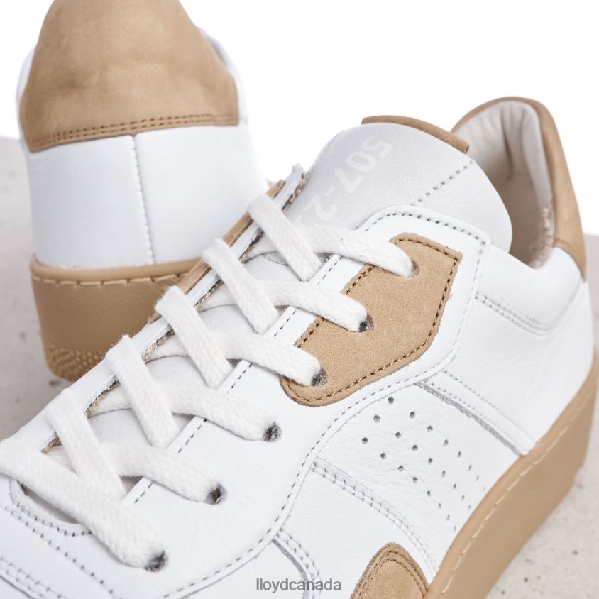 AREL LLOYD Men white R084ZF382 Shoes