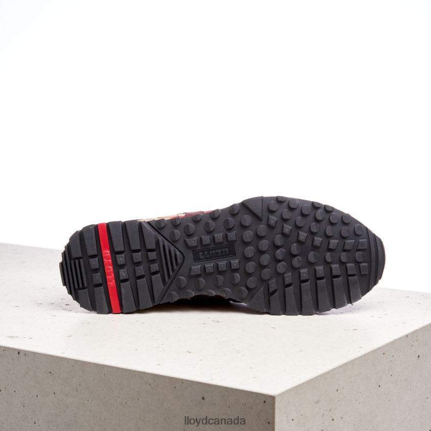 ARMAND LLOYD Men combined R084ZF1336 Shoes