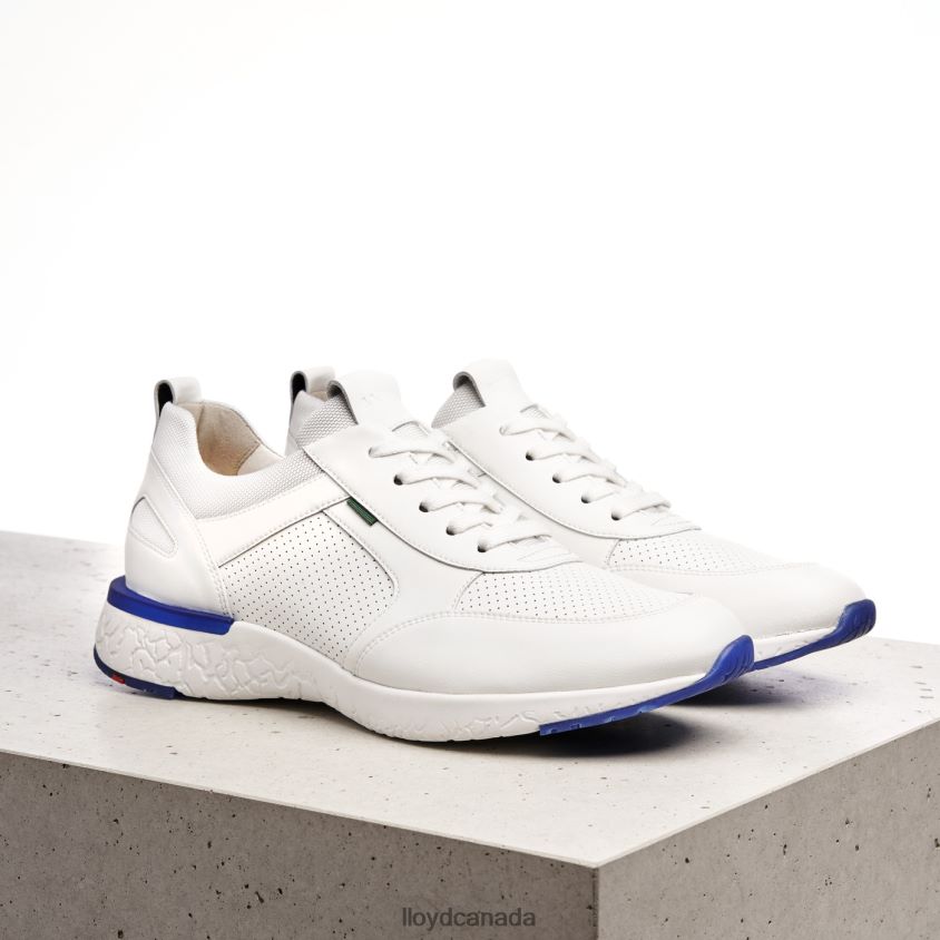 AUGUSTO LLOYD Men white R084ZF1341 Shoes