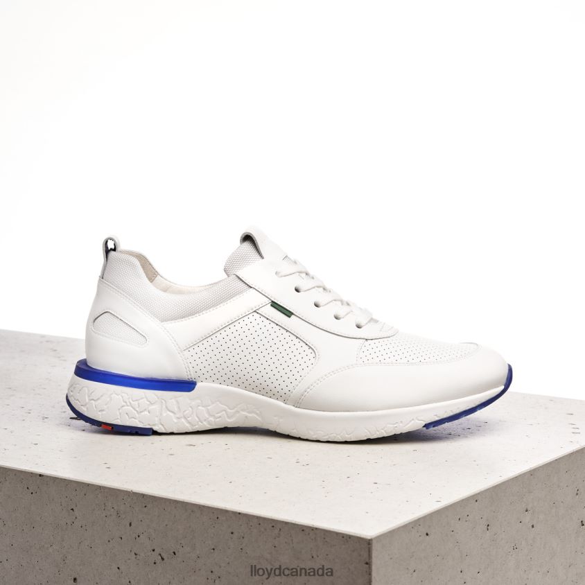 AUGUSTO LLOYD Men white R084ZF1341 Shoes