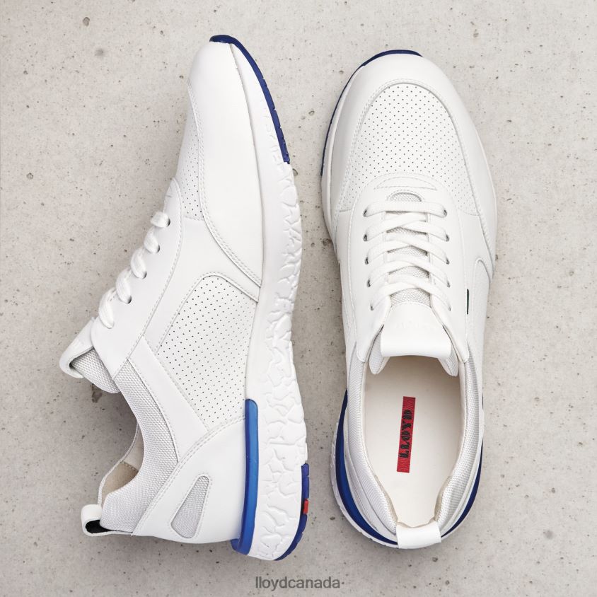 AUGUSTO LLOYD Men white R084ZF1341 Shoes