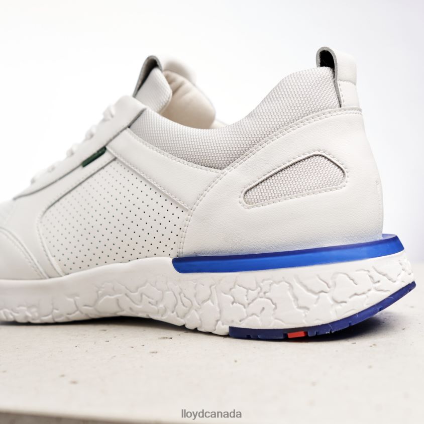 AUGUSTO LLOYD Men white R084ZF1341 Shoes
