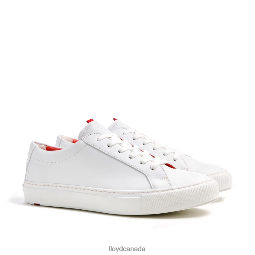 AUSTIN LLOYD Men white R084ZF348 Shoes
