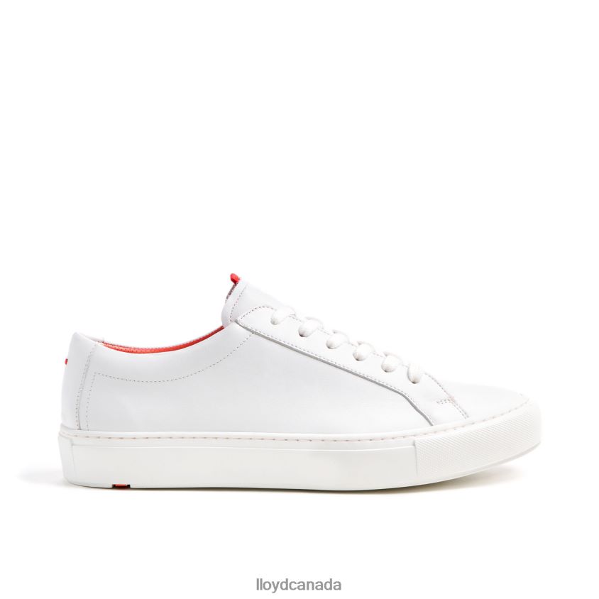 AUSTIN LLOYD Men white R084ZF348 Shoes
