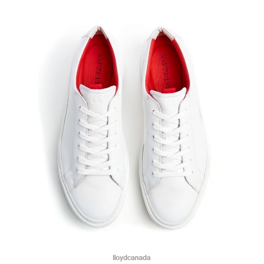 AUSTIN LLOYD Men white R084ZF348 Shoes
