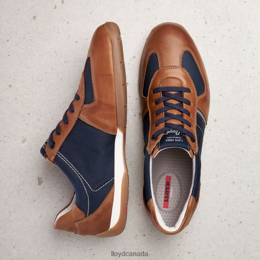 BAILEY LLOYD Men combined R084ZF405 Shoes