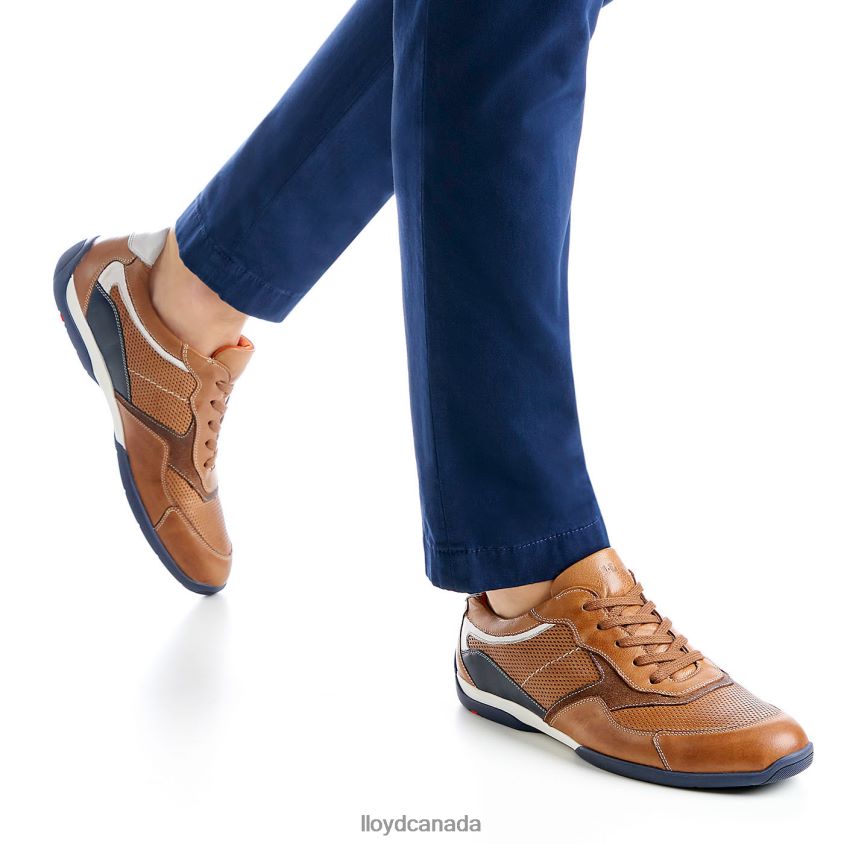 BALTIMORE LLOYD Men brown R084ZF287 Shoes