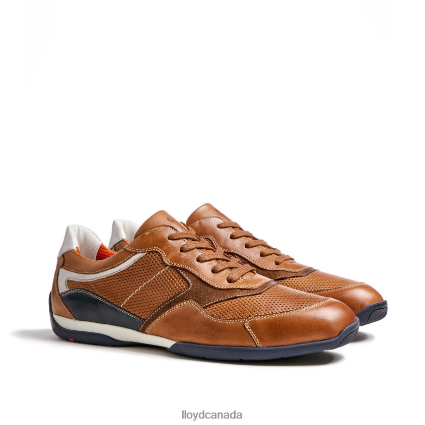 BALTIMORE LLOYD Men brown R084ZF287 Shoes