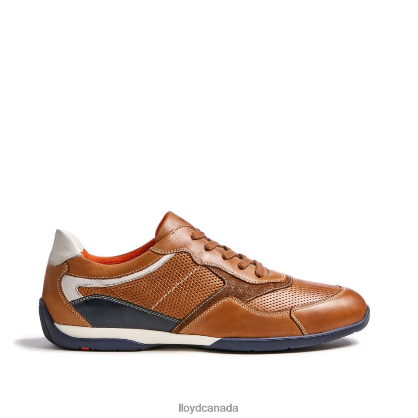 BALTIMORE LLOYD Men brown R084ZF287 Shoes