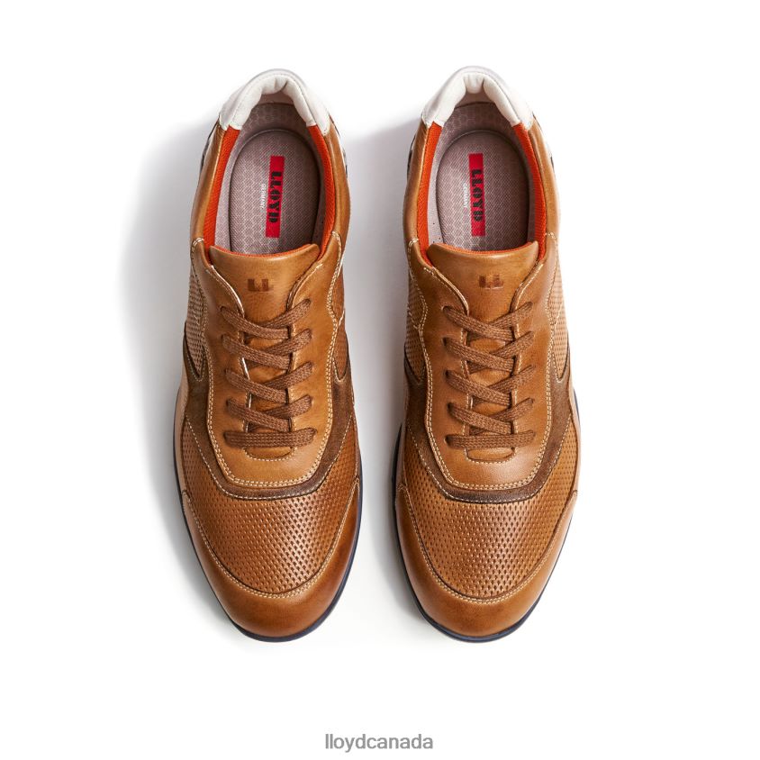 BALTIMORE LLOYD Men brown R084ZF287 Shoes