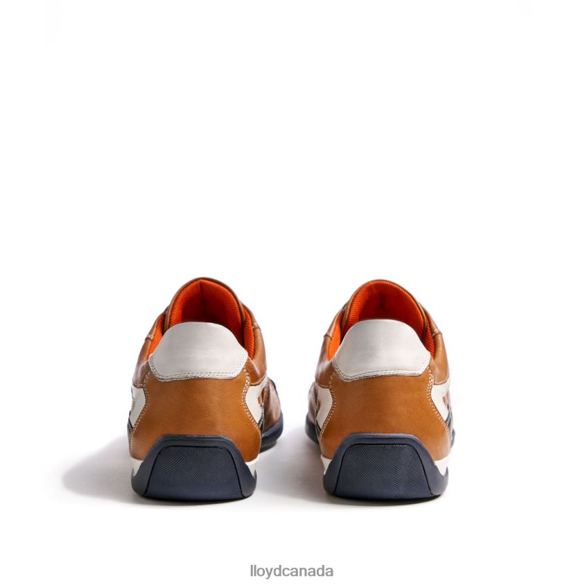 BALTIMORE LLOYD Men brown R084ZF287 Shoes