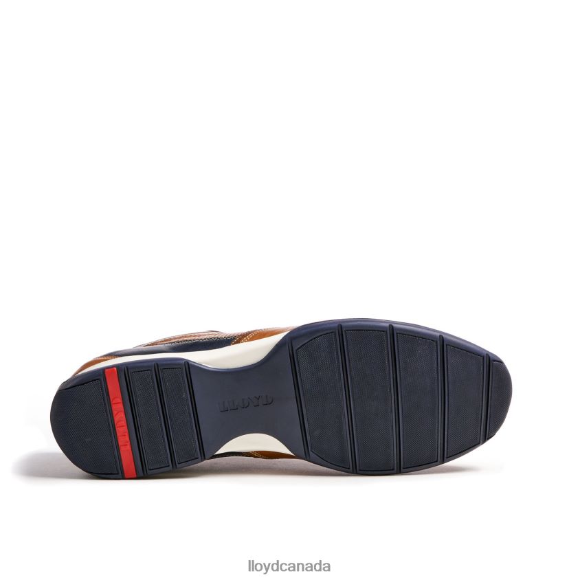 BALTIMORE LLOYD Men brown R084ZF287 Shoes
