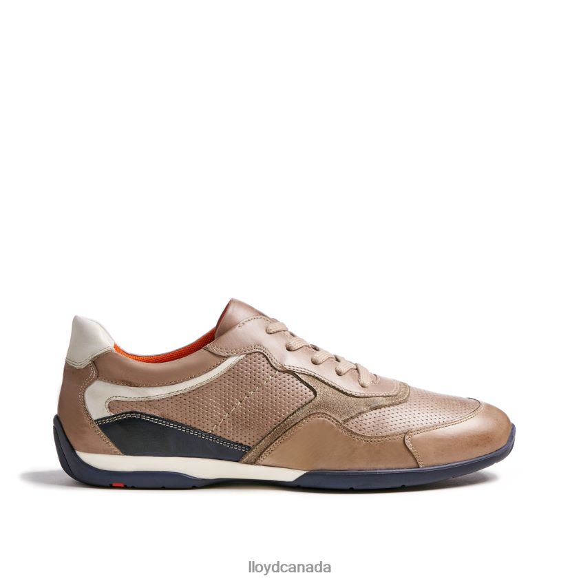 BALTIMORE LLOYD Men grey R084ZF419 Shoes