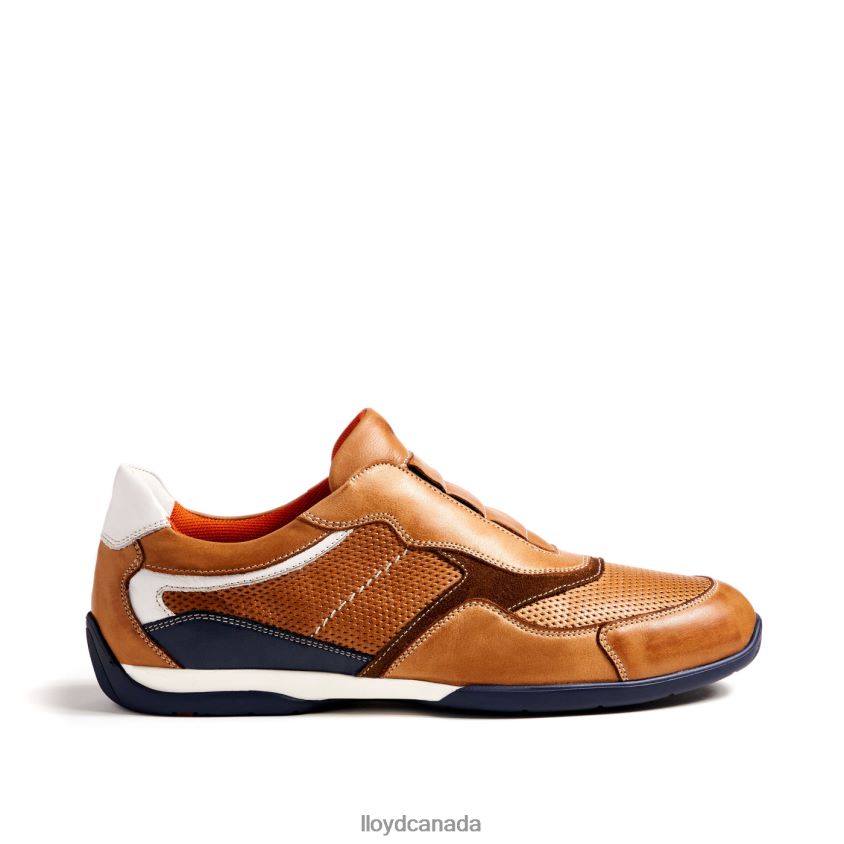 BANFIELD LLOYD Men brown R084ZF347 Shoes