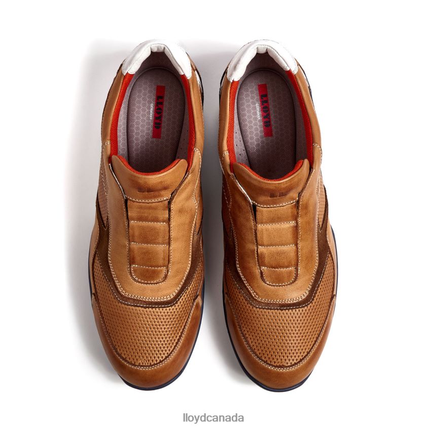 BANFIELD LLOYD Men brown R084ZF347 Shoes