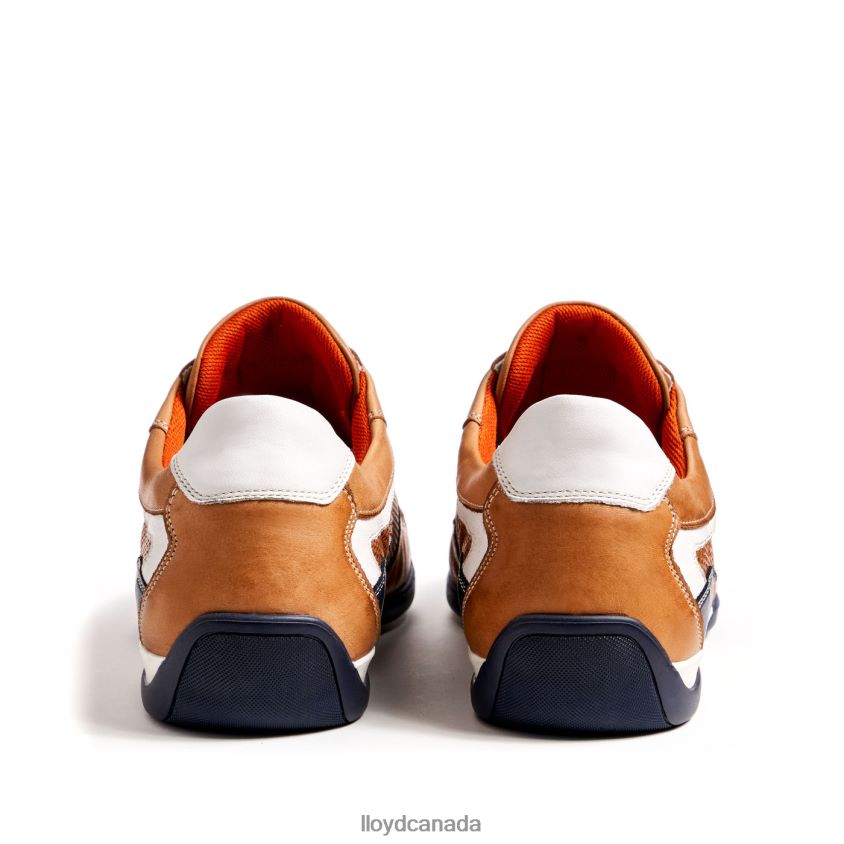 BANFIELD LLOYD Men brown R084ZF347 Shoes