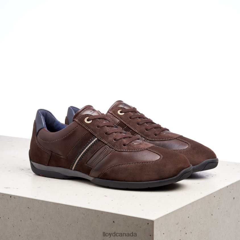 BARBADOS LLOYD Men brown R084ZF1339 Shoes