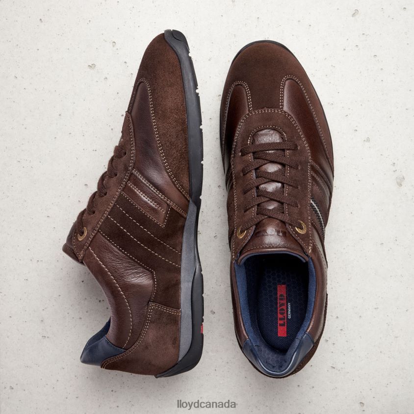 BARBADOS LLOYD Men brown R084ZF1339 Shoes