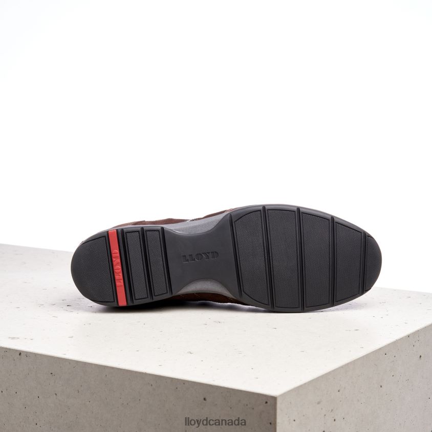 BARBADOS LLOYD Men brown R084ZF1339 Shoes