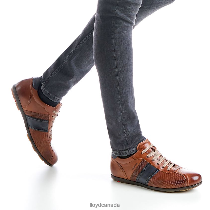 BARETT LLOYD Men brown R084ZF354 Shoes