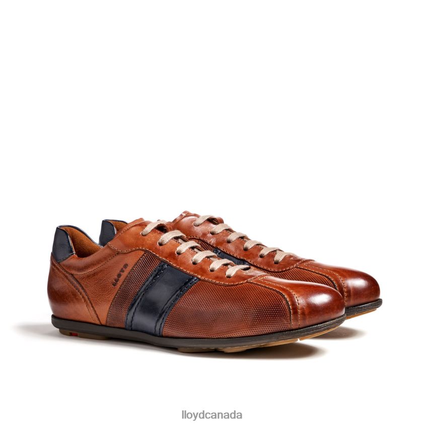 BARETT LLOYD Men brown R084ZF354 Shoes