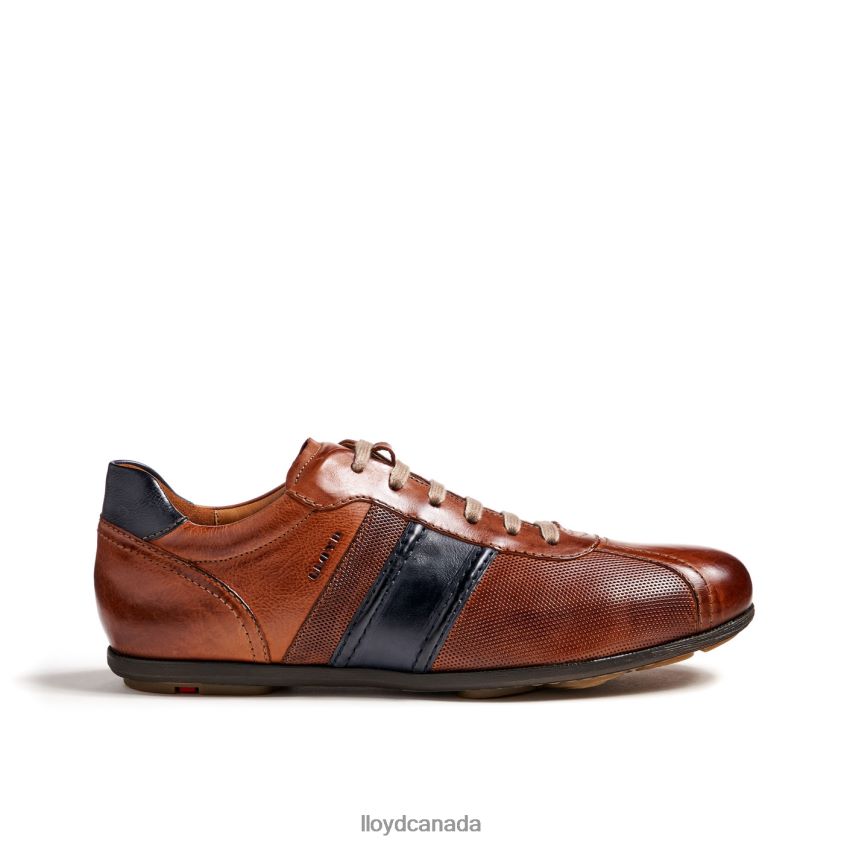 BARETT LLOYD Men brown R084ZF354 Shoes