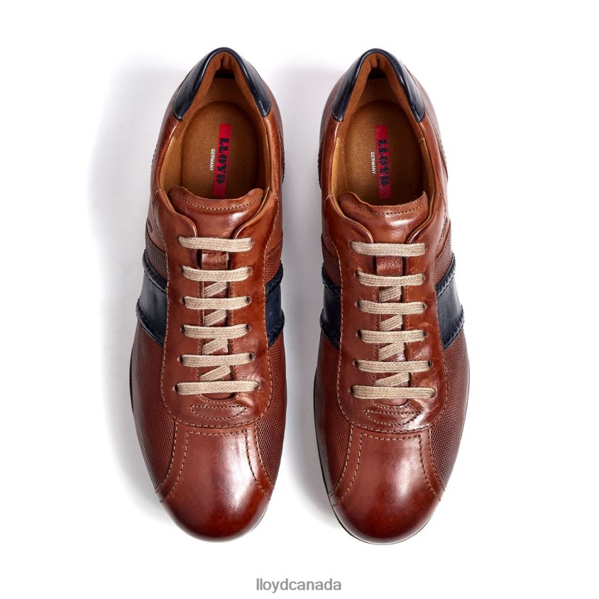 BARETT LLOYD Men brown R084ZF354 Shoes