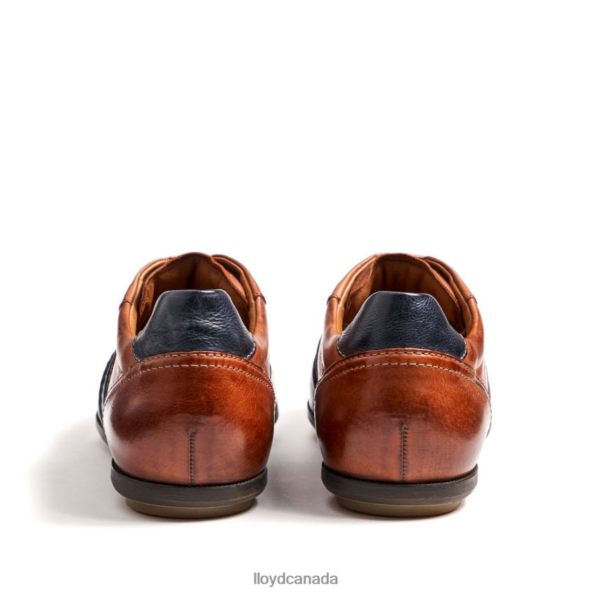 BARETT LLOYD Men brown R084ZF354 Shoes