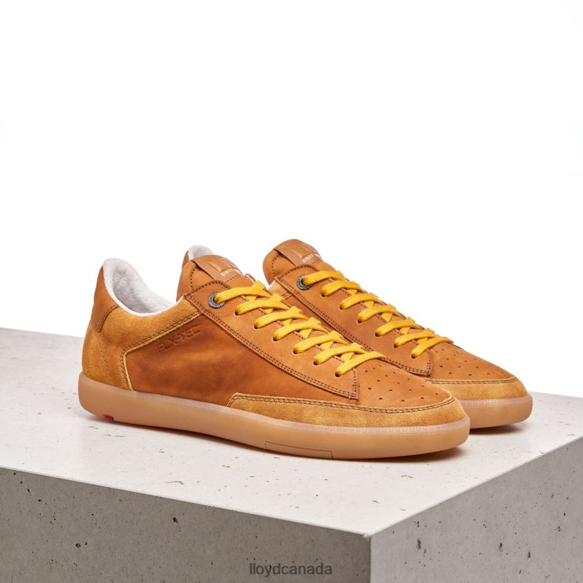 BARON LLOYD Men brown R084ZF427 Shoes