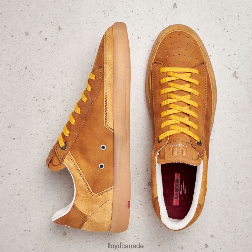 BARON LLOYD Men brown R084ZF427 Shoes