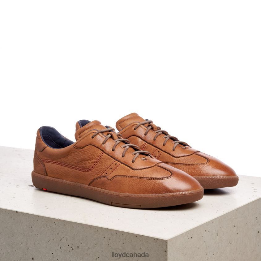 BASTIAN LLOYD Men brown R084ZF423 Shoes