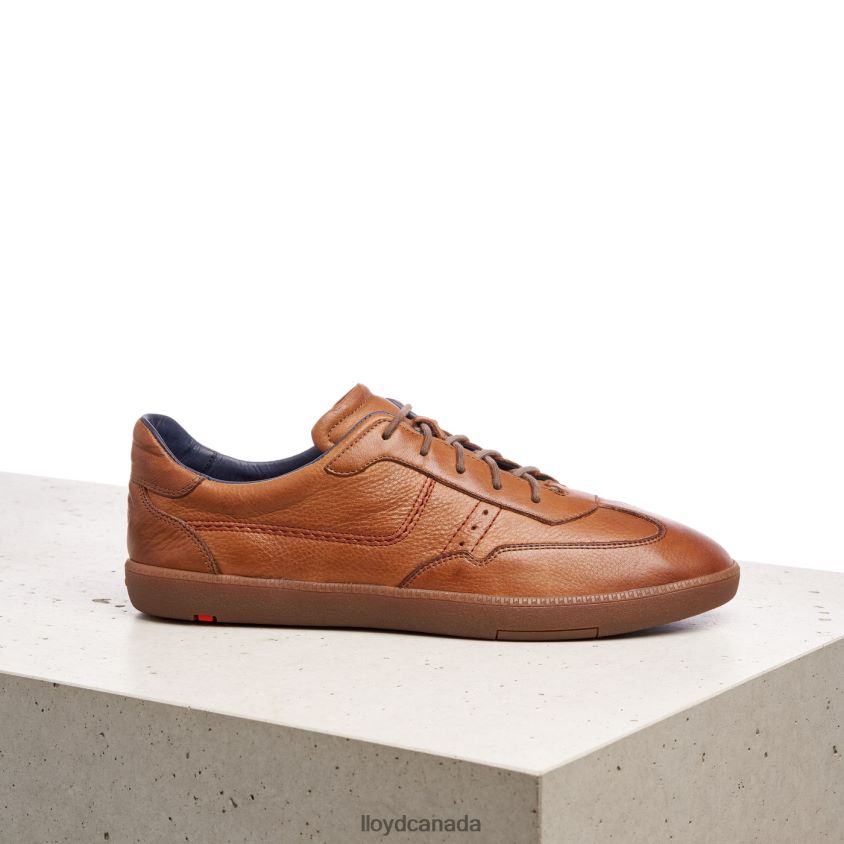 BASTIAN LLOYD Men brown R084ZF423 Shoes