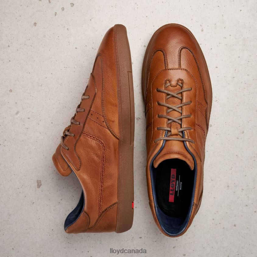 BASTIAN LLOYD Men brown R084ZF423 Shoes