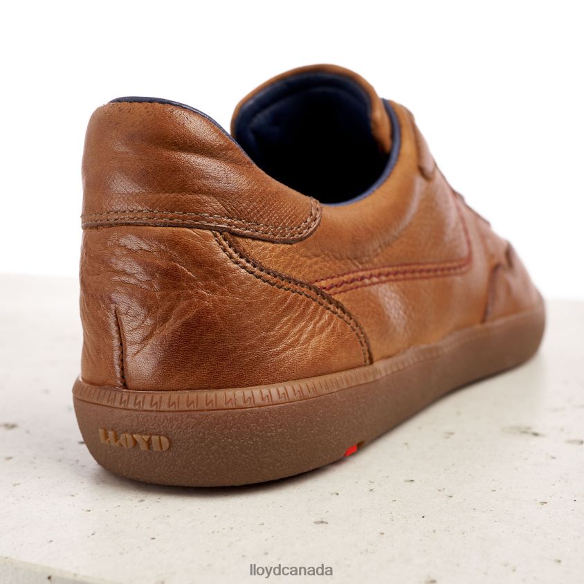 BASTIAN LLOYD Men brown R084ZF423 Shoes