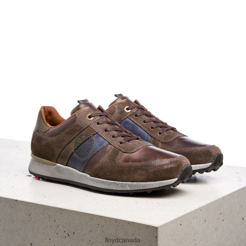 BELLINGHAM LLOYD Men brown R084ZF377 Shoes
