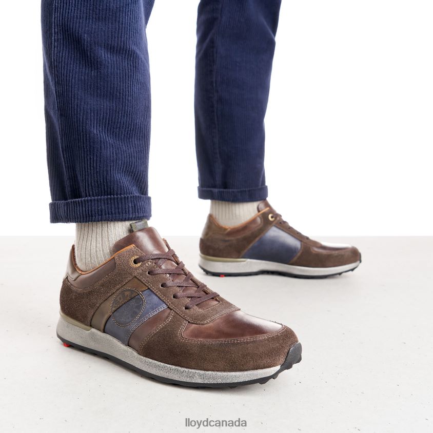BELLINGHAM LLOYD Men brown R084ZF377 Shoes