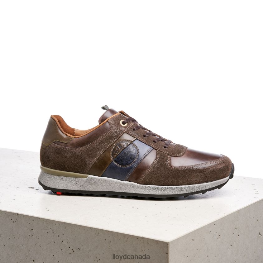 BELLINGHAM LLOYD Men brown R084ZF377 Shoes