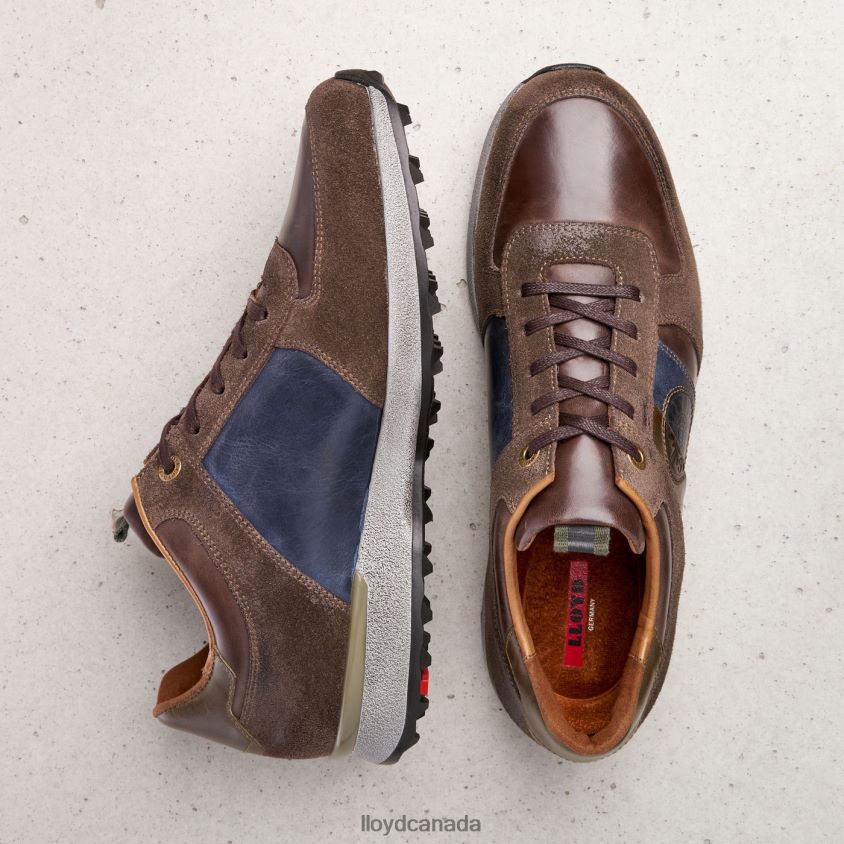 BELLINGHAM LLOYD Men brown R084ZF377 Shoes