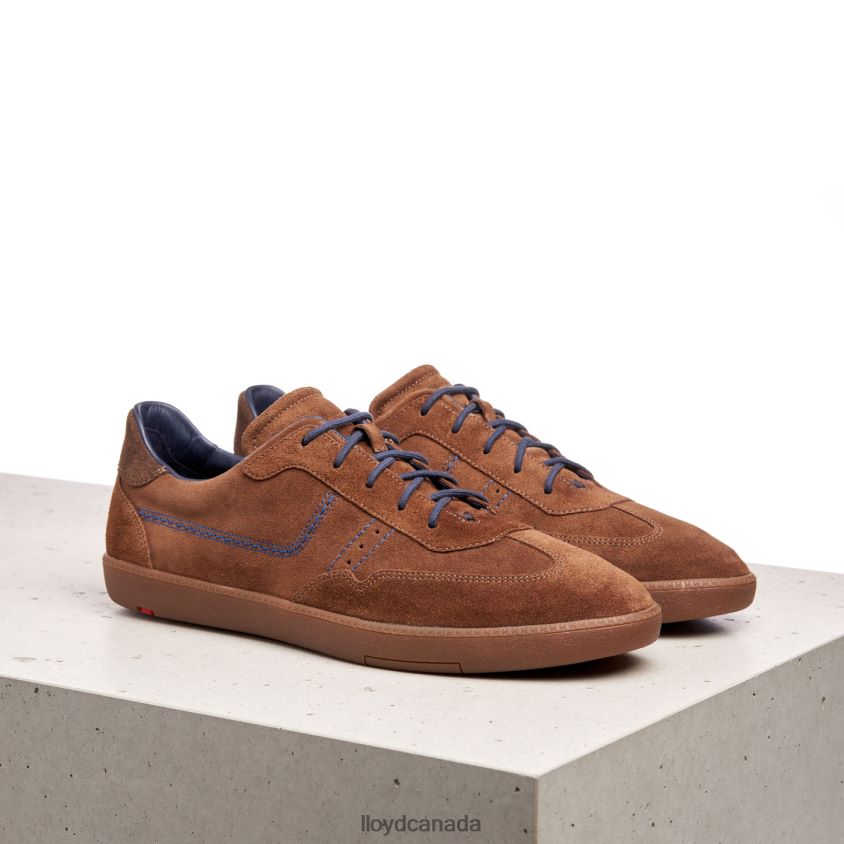 BENEDETTO LLOYD Men brown R084ZF426 Shoes
