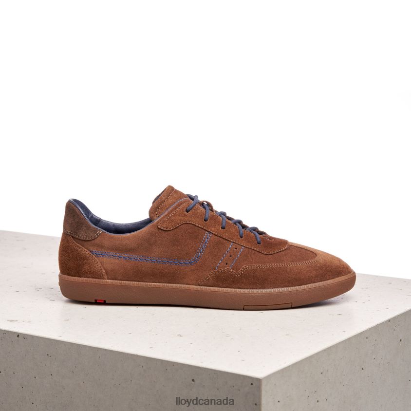 BENEDETTO LLOYD Men brown R084ZF426 Shoes