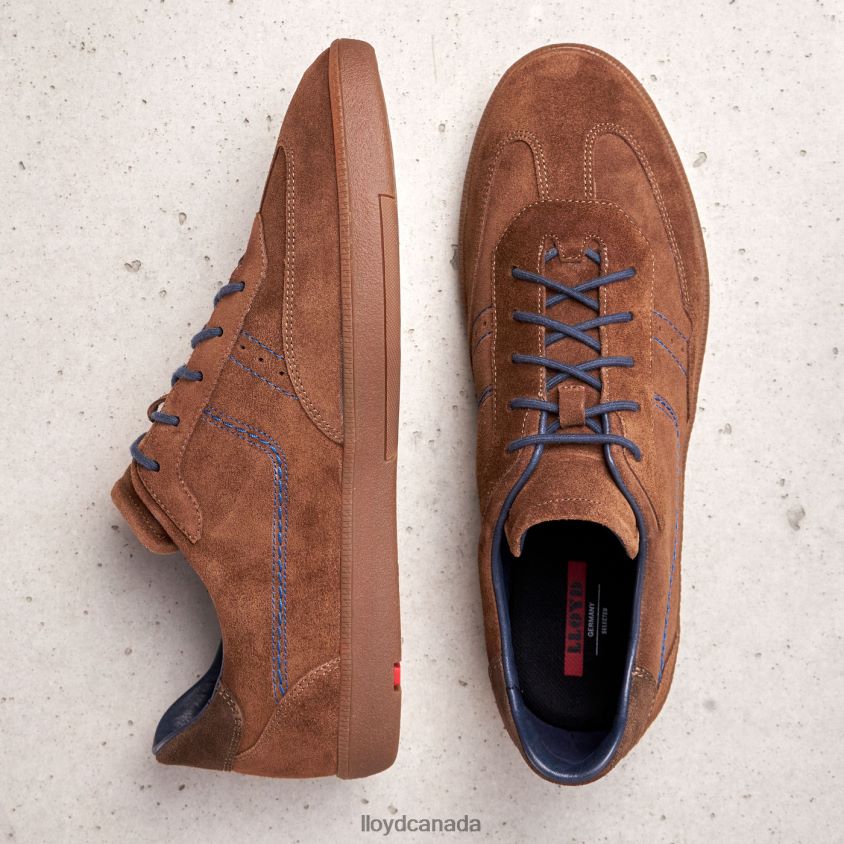 BENEDETTO LLOYD Men brown R084ZF426 Shoes